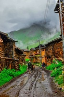 Rainy Minimarg - Pakistan